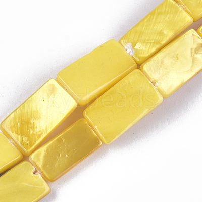 Spray Painted Freshwater Shell Beads SHEL-T010-04B-1