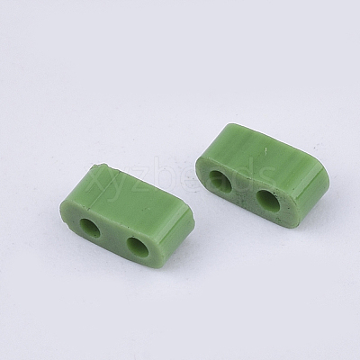 FGB 2-Hole Glass Seed Beads X-SEED-S031-M-047-1