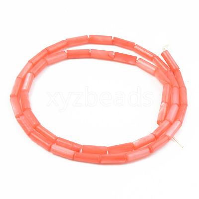 Natural Freshwater Shell Beads Strand SHEL-T017-40C-1