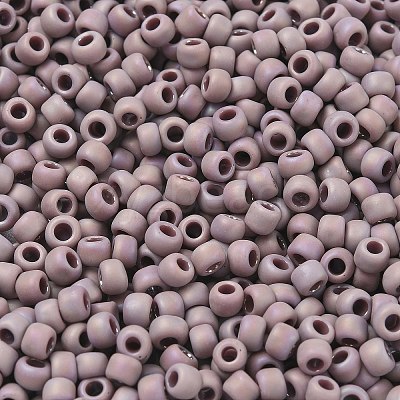 TOHO 6/0 Round Beads X-SEED-TR06-0412F-1