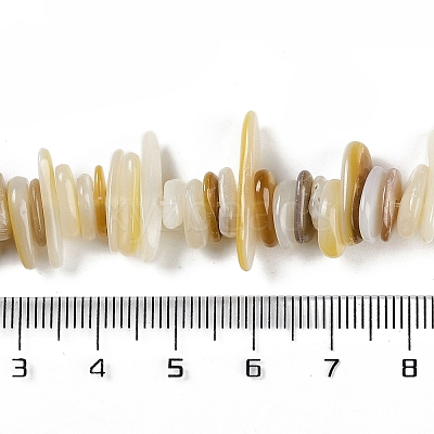 Natural Trochus Shell Beads Strands BSHE-H109-08-1