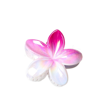 Resin Claw Hair Clips PW-WG93676-03-1