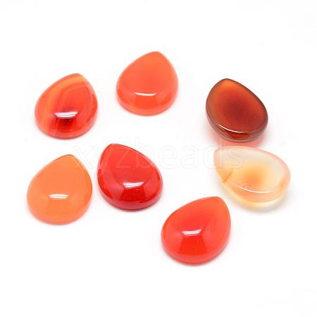 Dyed Natural Carnelian Gemstone Cabochons G-T024-18x25mm-14-1