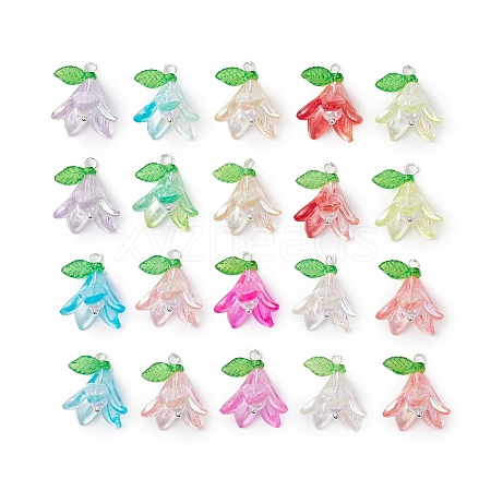 20Pcs Acrylic Charms PALLOY-JF030110-02-1