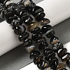 Natural Black Agate Beads Strands G-NH0017-B04-03-2