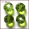 Imitation Austrian Crystal Beads SWAR-F021-4mm-252-1