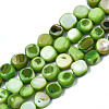 Natural Trochid Shell/Trochus Shell Beads Strands SHEL-S258-083-B05-1