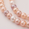 Natural Cultured Freshwater Pearl Beads Strands PEAR-G007-02-3