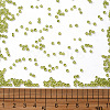 (Repacking Service Available) Glass Seed Beads SEED-C013-2mm-4-3