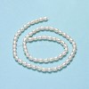 Natural Cultured Freshwater Pearl Beads Strands PEAR-J006-14B-01-3