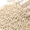 TOHO Round Seed Beads SEED-XTR11-0763-1