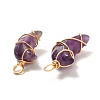 Natural Amethyst Pendants PALLOY-JF00931-01-2