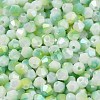 Baking Painted Glass Seed Beads SEED-C004-03E-3