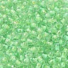 Transparent Glass Round Seed Beads X1-SEED-B001-05A-06-3