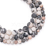 Yilisi 3 Strands 3 Style Natural Zebra Jasper Beads Strands G-YS0001-02-2