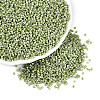 FGB 11/0 Grade A Baking Paint Glass Seed Beads SEED-S030-1037-1