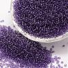 8/0 Glass Seed Beads SEED-J013-F8-13-1