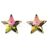 Glass Rhinestone Cabochons MRMJ-N029-04A-09-4