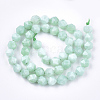 Natural Myanmar Jade/Burmese Jade Beads Strands G-T108-27B-2