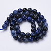 Natural Sodalite Beads Strands G-S281-07-6mm-2