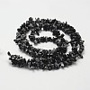 Natural Snowflake Obsidian Beads Strands X-G-F328-10-2