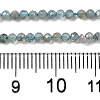Natural Apatite Beads Strands G-C137-A01-01-5