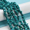 Natural Howlite Beads Strands G-C084-F09-01-2