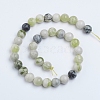 Natural Qinghua Jade Beads Strands G-G818-01-12mm-2