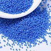 MIYUKI Delica Beads SEED-MY11-DB2134-1