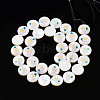 Natural Freshwater Shell Enamel Beads SHEL-N026-194-05-2