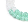 Macaron Color Natural Selenite Beads Strands G-A243-A01-4