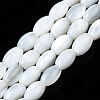 Natural Trochid Shell/Trochus Shell Beads Strands SSHEL-S266-021A-01-1