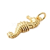 Brass Pendants KK-A266-12H-G-2