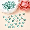 Preciosa® MAXIMA Crystal No Hotfix Flatback Stones Y-PRC-NSS16-50005-2