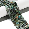 Natural African Turquoise(Jasper) Beads Strands G-M403-A26-02-2