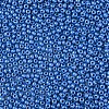 8/0 Czech Opaque Glass Seed Beads SEED-N004-003A-11-4