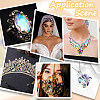 50Pcs Glass Rhinestone Cabochons RGLA-BBC0001-06-5