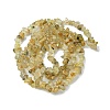 Natural Rutilated Quartz Beads Strands G-Z034-E10-01-3