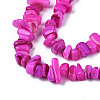 Natural Trochid Shell/Trochus Shell Beads Strands SHEL-S258-080-B04-3