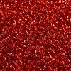 TOHO 6/0 Round Beads X-SEED-TR06-0025B-4