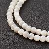 Natural White Shell Beads Strands G-G680-54-3