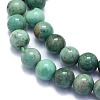Natural Green Onyx Agate Beads Strands G-K310-C02-8mm-3