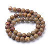 Natural Red Rainbow Jasper Round Beads Strands G-T055-8mm-11-2