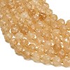 Dyed Imitation Jade Glass Beads Strands GL-Z001-02A-13-2