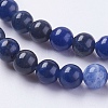 Natural Sodalite Beads Strands G-G448-6mm-25-3