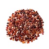 Natural Carnelian Tumbled Chips PW-WGA7DCE-20-1