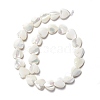 Natural Trochid Shell/Trochus Shell Beads SSHEL-O001-27D-1