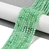 Natural Chrysoprase Beads Strands G-B088-C19-03-2