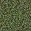 TOHO Round Seed Beads SEED-JPTR11-1007-2