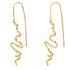 1 Pair Brass Dangle Earrings EJEW-HS0001-29G-1